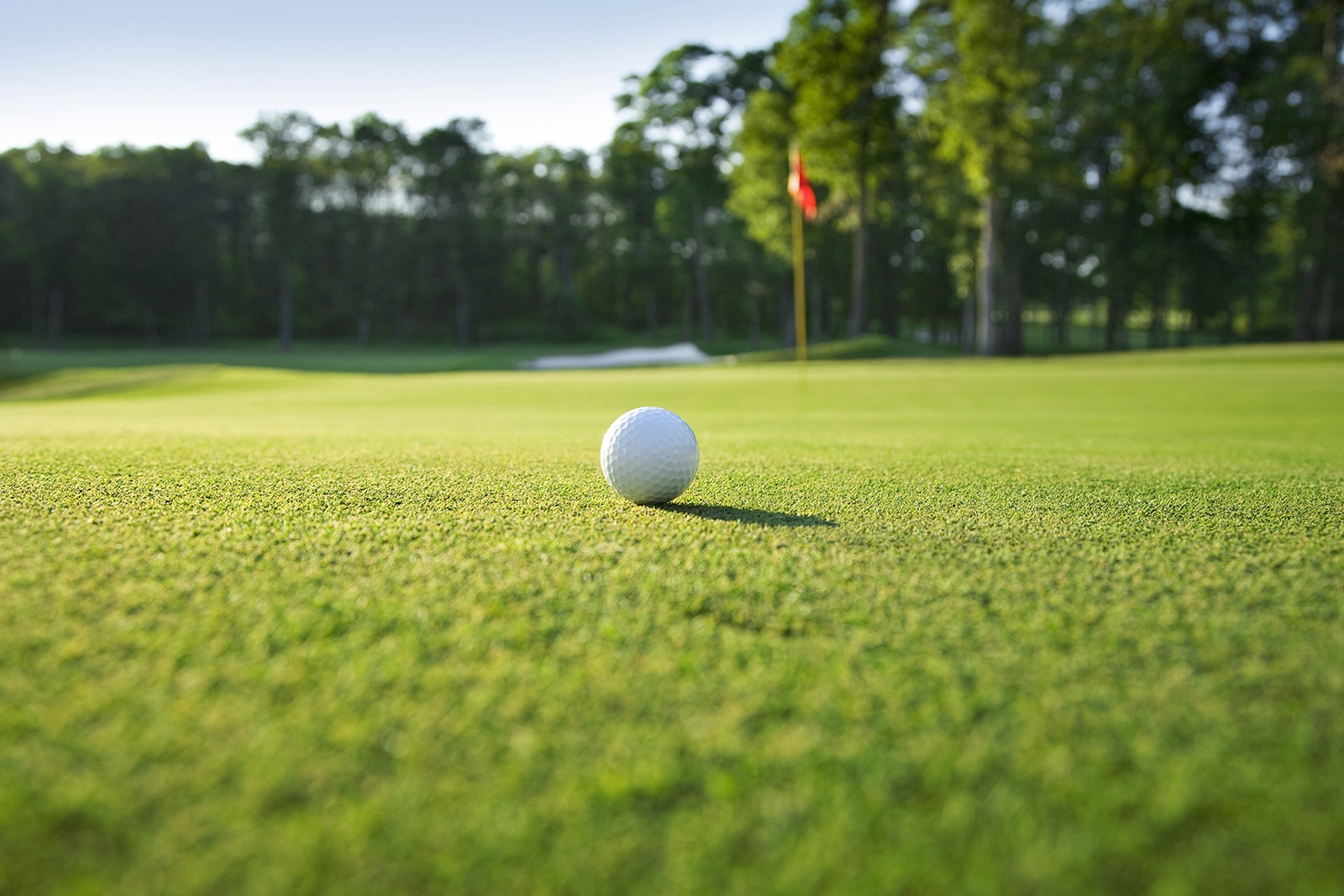 Fore! Great Barrington Golf Courses to Explore