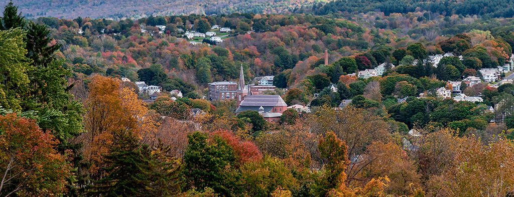Panoramic view of a small town surrounded by autumn-colored trees on a hillside, featuring buildings and a pet-friendly motel in the distance.